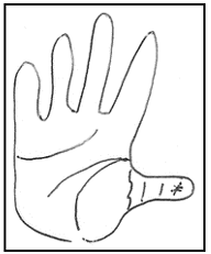 Absichtsstern