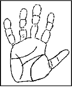 Hellsichtigkeitslinie111