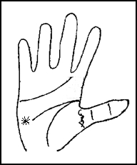 Mondstern2